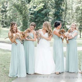 To se jí splnilo. Fotografka Caroline Logan ji spolu s družičkami a šesti štěňaty bez domova zvěčnila po slavnostním obřadu.