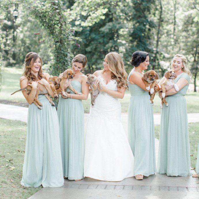 To se jí splnilo. Fotografka Caroline Logan ji spolu s družičkami a šesti štěňaty bez domova zvěčnila po slavnostním obřadu.