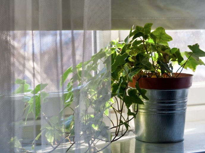 Vpusťte do svého domova přírodu se všemi jejími blahodárnými účinky.