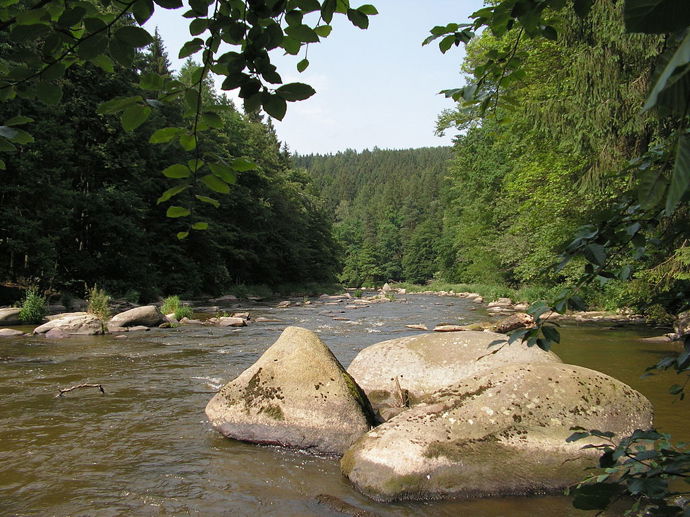 Stvořidla
