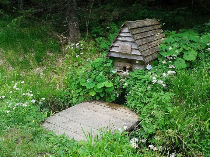 Tetřeví studánka v Borové Ladě na Šumavě 

