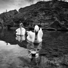 Fotograf Goran Tačevski: „Dobrá fotka mluví sama.“ Fotograf Goran Tačevski: „Dobrá fotka mluví sama.“