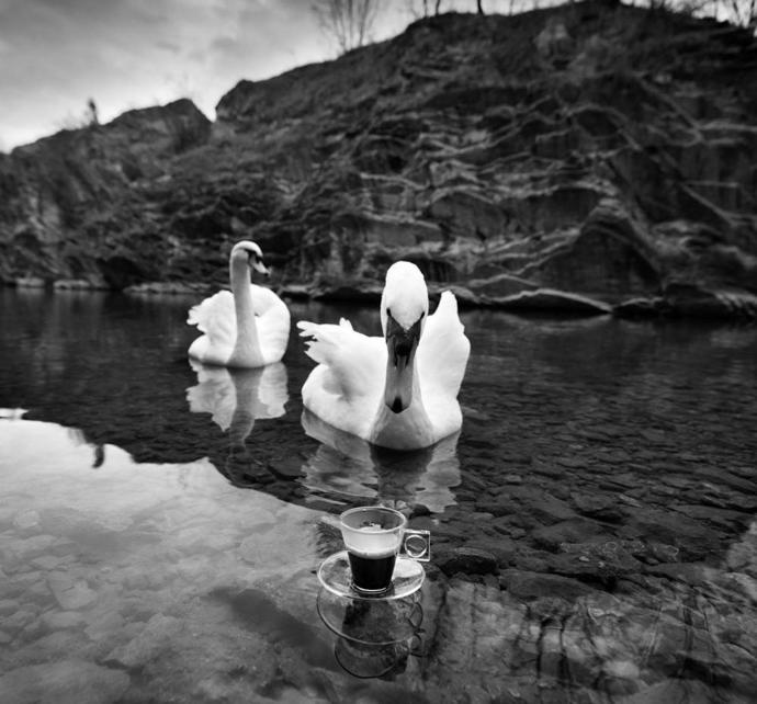 Fotograf Goran Tačevski: „Dobrá fotka mluví sama.“ Fotograf Goran Tačevski: „Dobrá fotka mluví sama.“