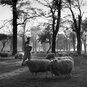 Zamilovaná dvojice se prochází parkem v Kensingtonských zahradách. Londýn, rok 1945.
Autor: Ralph Morse