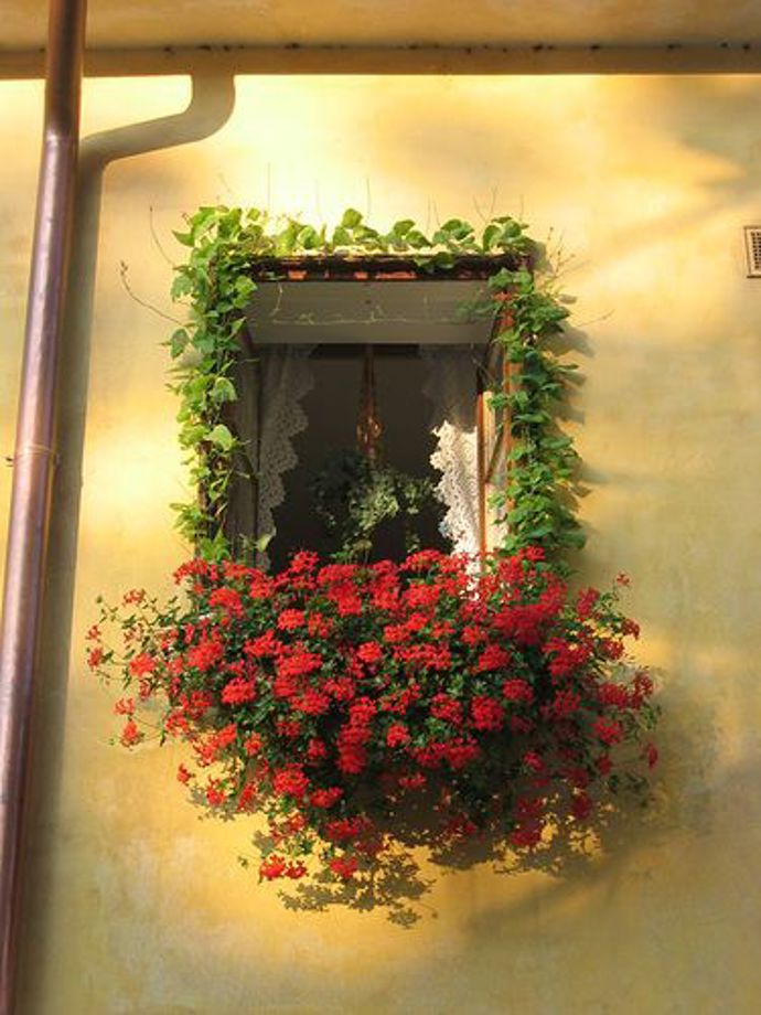 Foto: Pinterest