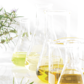 L´OCCITANE