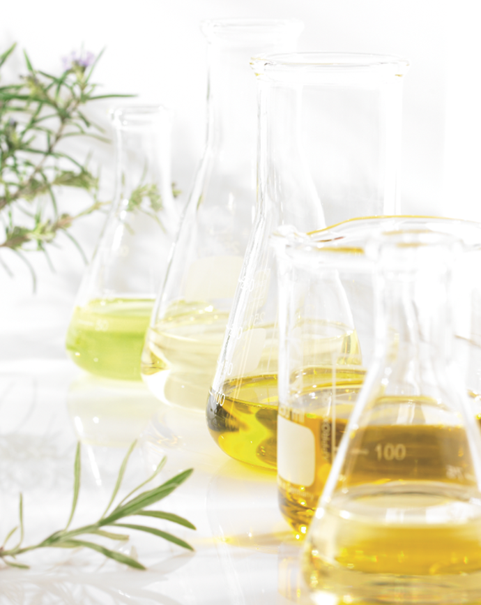 L´OCCITANE L´OCCITANE