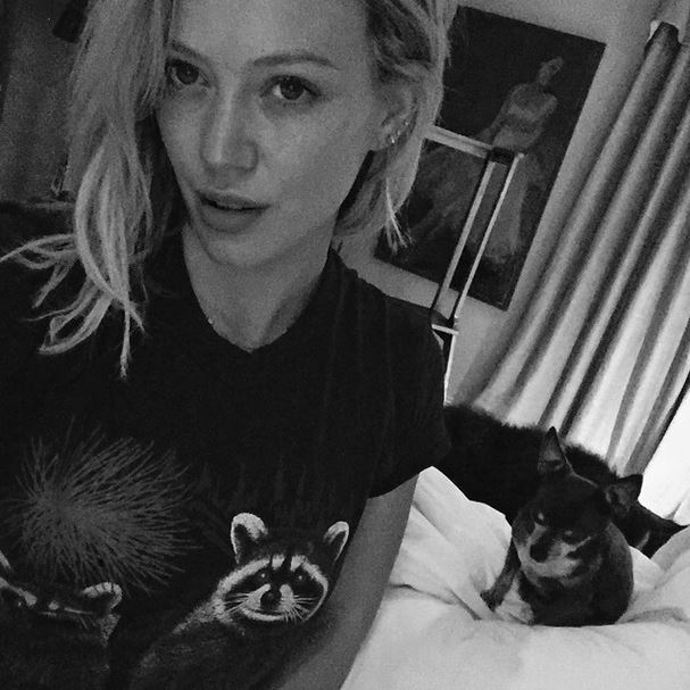 Hillary Duff si užívá klidný den doma se svým psem Coco.