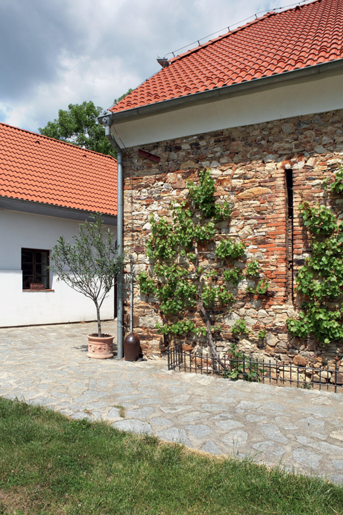 I květináč má svá práva I