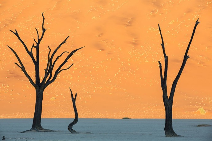 Poušť Namib, Namibie Poušť Namib, Namibie
