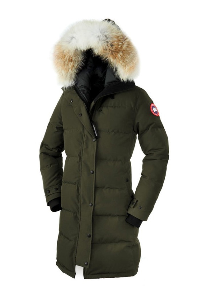 Canada Goose Canada Goose