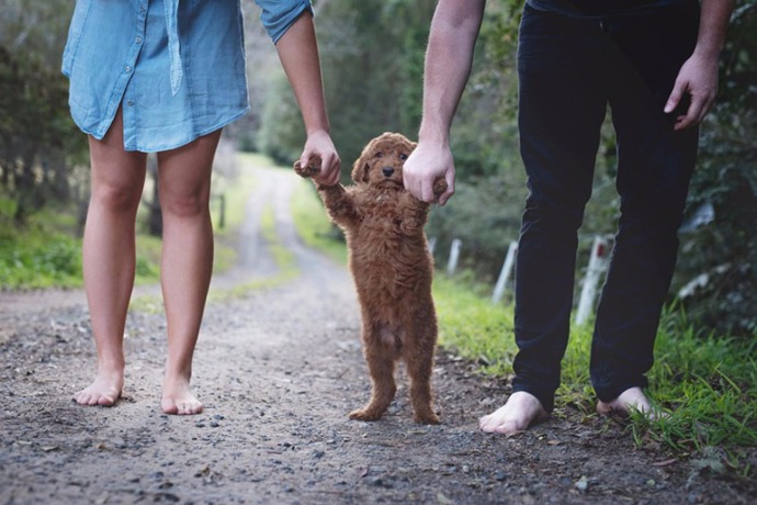 Místo miminka si pořídili štěně a jejich  fotografie se rychle staly virálními