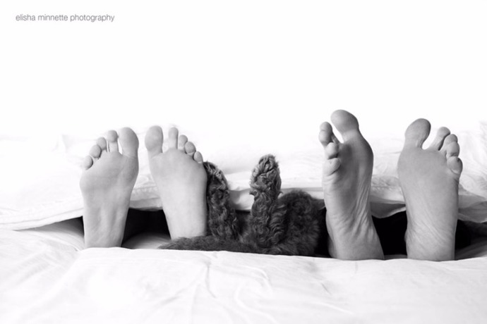 Místo miminka si pořídili štěně a jejich  fotografie se rychle staly virálními