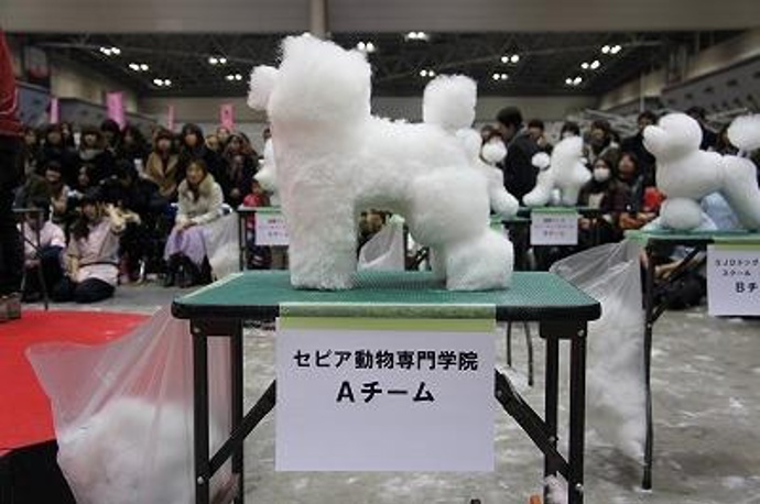 Nový japonský trend: psi ve tvaru kostek Nový japonský trend: psi ve tvaru kostek