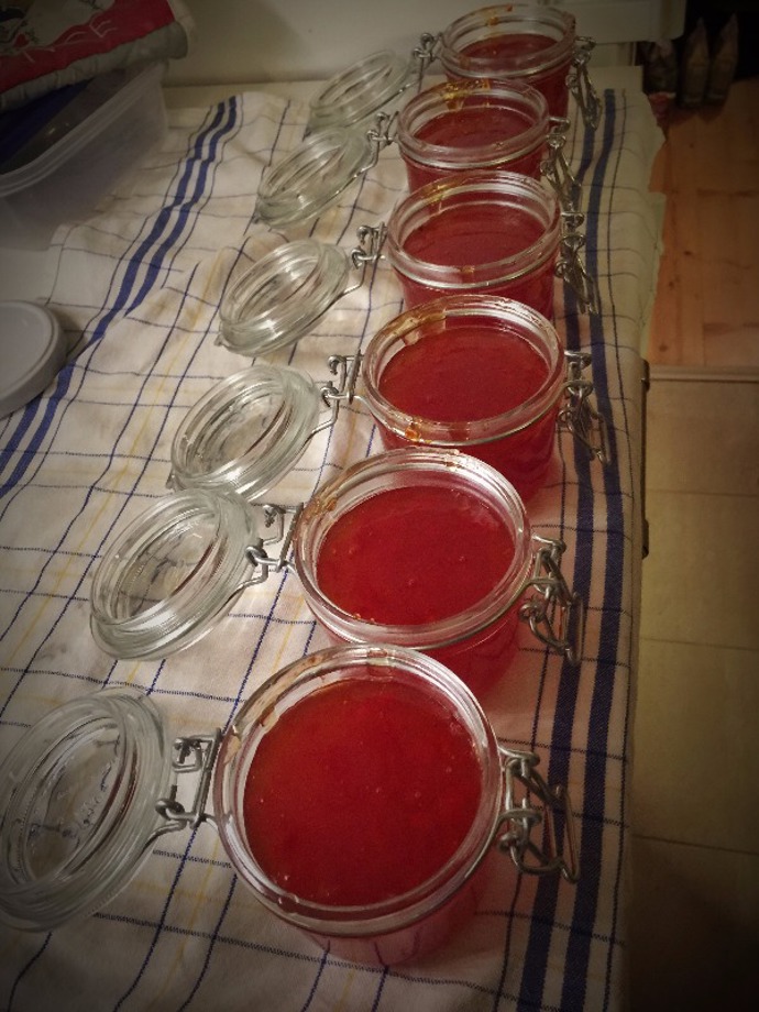 Chilli džem jsme si rozlily do takovýchto krásných skleněných nádob. Zakoupíte je téměř v jakémkoli obchodě s domácími potřebami. 