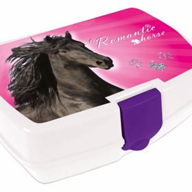 Svačinový box