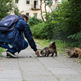 Malé dopravní značky zachraňují zvířatům  život