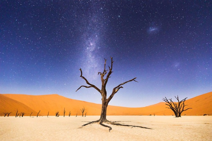 Deadvlei v překladu znamená Mrtvý močál. Stromy jsou zde i 900 let staré, ale kvůli příšerně suchému okolí se nerozkládají.
Fotograf: Beth McCarley