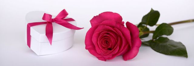 rose 2019690