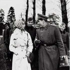 Brigitte Bardot, Babeta jde do války (1959)