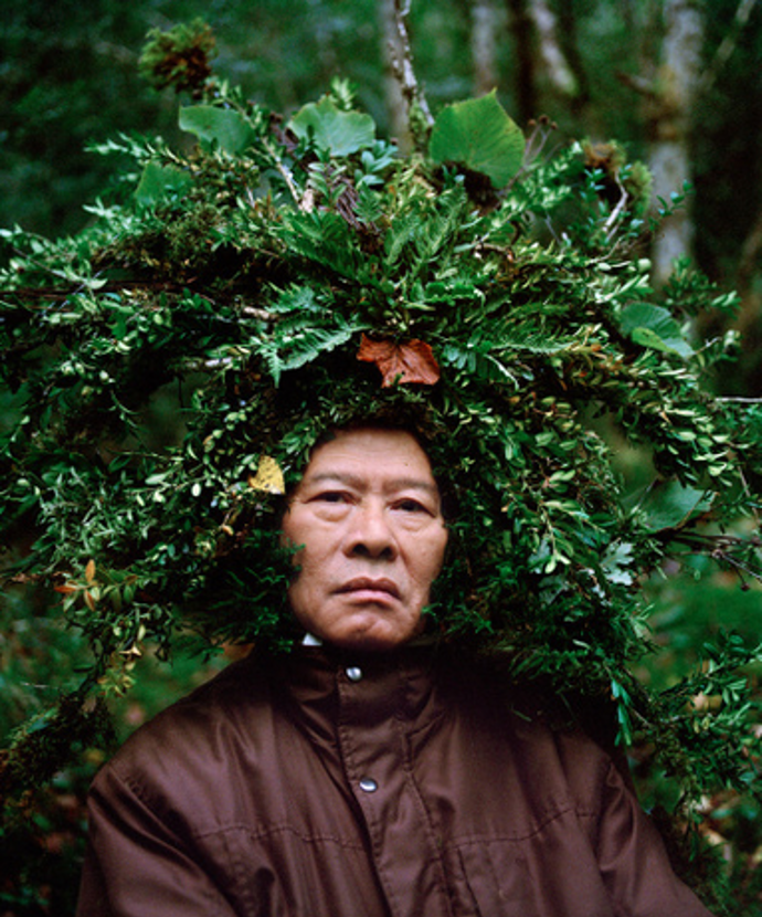 Fotogalerie: Čapí hnízdo trochu jinak Fotogalerie: Čapí hnízdo trochu jinak