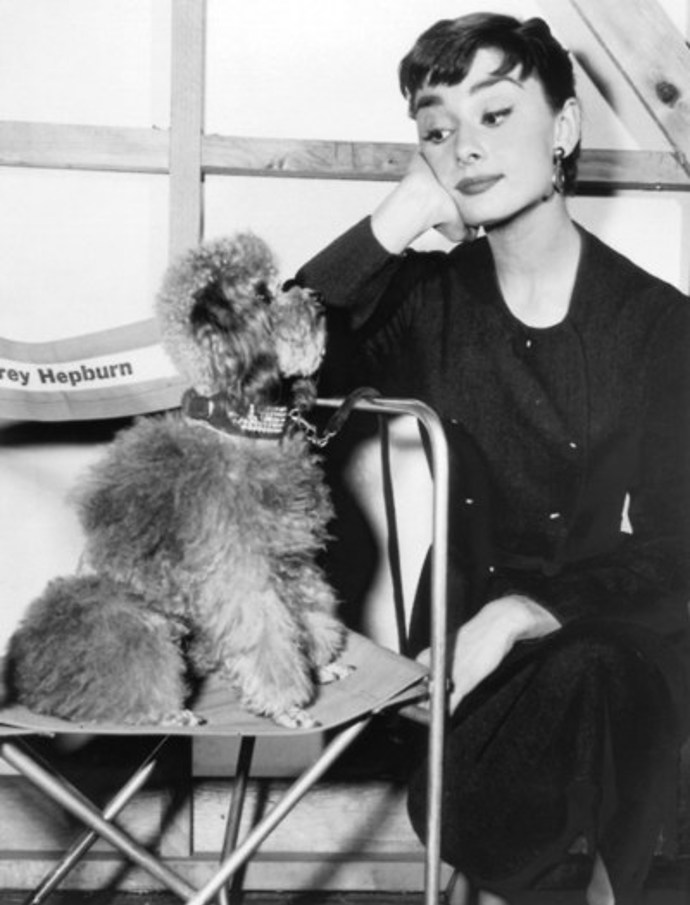 Lady Gaga připomíná v nové kampani Audrey Hepburn.