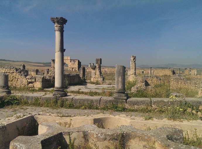 Volubilis Volubilis