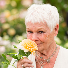 Oscarová herečka Judi Dench
