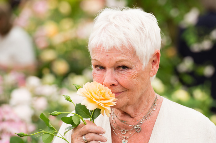Oscarová herečka Judi Dench
