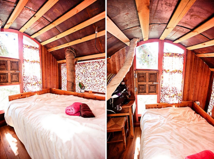 Domek v koruně stromu ve španělské Andalusii

 
