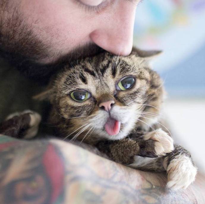 @iamlilbub
Lil' Bub se narodila s genetickou mutací, která jí však nebrání užívat si naplno kočičí život. Protože nemá zuby, visí jí permanentně jazýček z tlamičky. Je to opravdová celebrita, fotku si s ní udělal i Robert De Niro nebo Jack Black. Konec konců má přes 1,3 milionů fanoušků.
@iamlilbub
Lil' Bub se narodila s genetickou mutací, která jí však nebrání užívat si naplno kočičí život. Protože nemá zuby, visí jí permanentně jazýček z tlamičky. Je to opravdová celebrita, fotku si s ní udělal i Robert De Niro nebo Jack Black. Konec konců má přes 1,3 milionů fanoušků.
