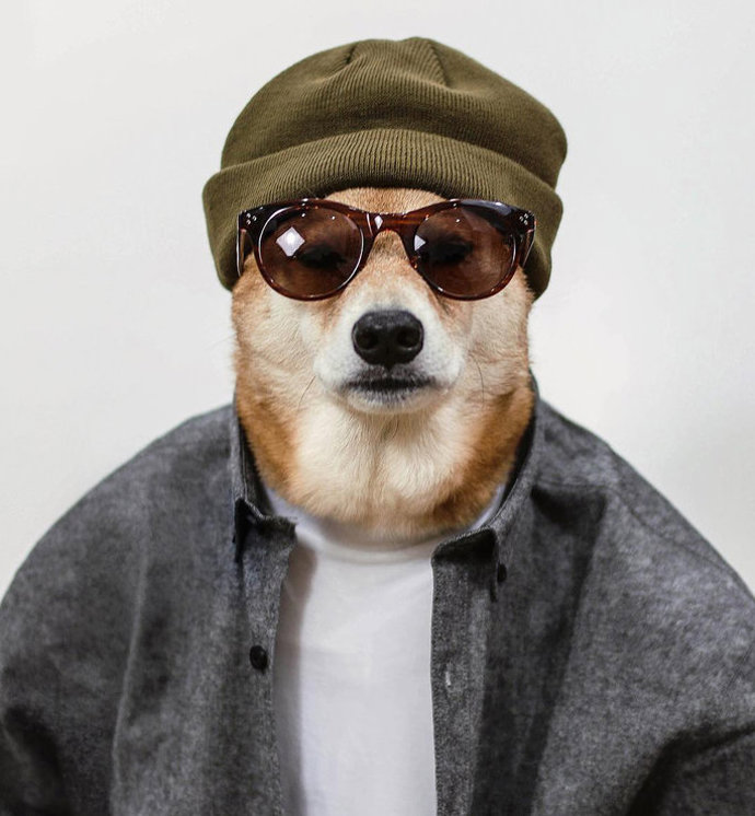 @mensweardog
Jestli se nějaký pes vyzná v módě, pak je to Bodhi alias Pes v pánském. Ať už jen odpočívá doma ve stylovém svetru nebo vyrazí ven v elegantním obleku, tenhle Shiba Inu je šik dvacet čtyři hodin denně. Doplňky má vždy perfektní a nikdy nenosí jeden outfit dvakrát.
@mensweardog
Jestli se nějaký pes vyzná v módě, pak je to Bodhi alias Pes v pánském. Ať už jen odpočívá doma ve stylovém svetru nebo vyrazí ven v elegantním obleku, tenhle Shiba Inu je šik dvacet čtyři hodin denně. Doplňky má vždy perfektní a nikdy nenosí jeden outfit dvakrát.