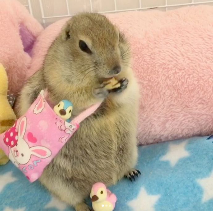 @sara4309
Sara si libuje v rozmanitých doplňcích. Nejraději nosí pletené čepičky a kabelky, a i když je její Instagram v japonštině, vůbec nám to nevadí. Její roztomilost je mezinárodní jazyk.
@sara4309
Sara si libuje v rozmanitých doplňcích. Nejraději nosí pletené čepičky a kabelky, a i když je její Instagram v japonštině, vůbec nám to nevadí. Její roztomilost je mezinárodní jazyk.