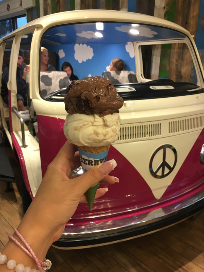 Burlington Downtown

V Burlingtonu samozřejmě nesmí chybět obchod s oblečením a snowboardy Burton s názvem BURlingTON a taky zmrzlinárna neboli scoop shop Ben & Jerry’s, kde servírovali zmrzlinu už v sedmdesátých letech samotní zakladatelé Ben Cohen a Jerry Greenfield. A jestli je pro vás zmrzlina v kornoutku nuda, objednejte si zmrzlinový dort, smoothie nebo shake, který vám bude nejvíce chutnat v retro Volkswagenu stojícím uprostřed prodejny. Super místo pro fotku na sociální sítě!

Adresa: 36 Church Street
