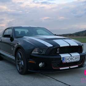 Mustang GT500 Shelby 
Na auta moc nejsem, ale 683 koním ikony mezi Amerikami se odolat nedá. Auto můžete prohnat po okreskách i na dálnici, a nakonec z něj můžete vymáčknout maximálku na 3km dlouhé letištní ploše. Radost!

https://www.zazitky.cz/jizda-ve-fordu-mustang
