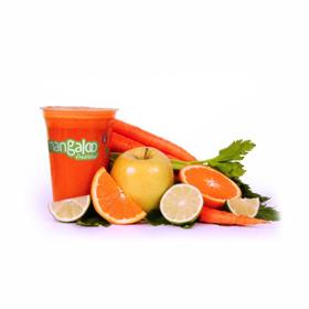 Zeleninovo-ovocný fresh drink Mangaloo