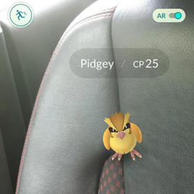Galerie: Pokémoni jsou zpět! Mobilní hra s oblíbenými příšerkami si podmanila svět