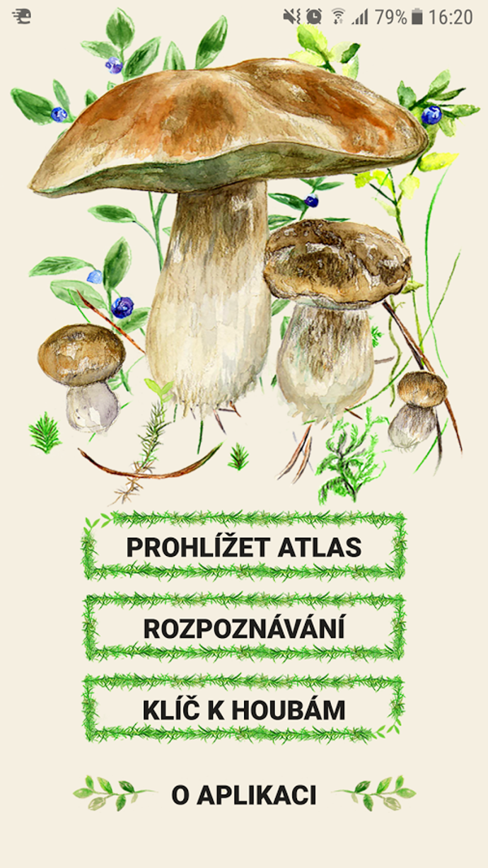Galerie: Bojíte se sbírat houby v lese? Stáhněte si novou českou aplikaci!