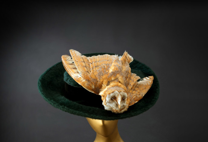 Klobouk, kolem r. 1912, Last Novelty, Anglie, velur + preparovaná sova (ze sbírek Uměleckoprůmyslového musea v Praze) Klobouk, kolem r. 1912, Last Novelty, Anglie, velur + preparovaná sova (ze sbírek Uměleckoprůmyslového musea v Praze)
