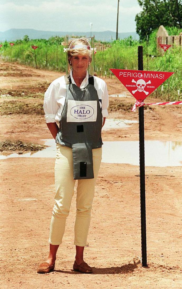 V roce 1995 udělala Diana zase něco, co se vymykalo typickým projevům britských šlechticů. Poskytla televizi Panorama exkluzivní rozhovor, ve kterém potvrdila Charlesovu dlouholetou nevěru a svou bulimii, sebepoškozování a depresivní pocity, které vzešly z nešťastného manželství, přílišných nároků ze strany královské rodiny a nedostatku lásky a pochopení. Nejupřímnější interview jejího života šokovalo jak britskou monarchii, tak i občany Velké Británie, kteří se postavili na stranu své princezny. V té době klesla popularita královské rodiny na samé dno. Nicméně je třeba připomenout, že každá strana má dvě mince. Někteří současní dokumentaristé a novináři poukazují na fakt, že v manželství byl nešťastný i Charles, který nechápal Dianinu nevyrovnanost a přecitlivělost a žárlil na obdiv, kterým ji veřejnost zahrnula.