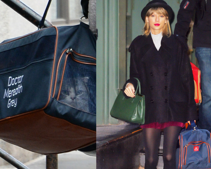 Taylor Swift, Olivia Benson a Meredith Grey

Olivia Benson a Meredith Grey si žijí život na vysoké noze. Znají se i s Edem Sheeranem a mají luxusní zavazadla se svými jmény. Ne, teď není řeč o postavách ze seriálů Právo a pořádek a Chirurgové, ale o kočkách Taylor Swift.
