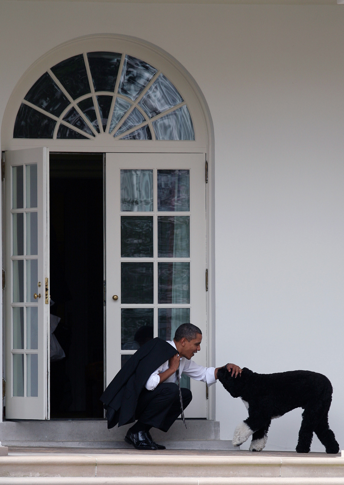 Barack Obama a Bo

Titul První pes, jakožto mazlíček prezidenta Baracka Obamy, má tento chlupáč jménem Bo. Je to Portugalský vodní pes. Získal si místo u prezidenta na gauči kvůli tomu, že dcera Baracka Obamy má alergii na psí chlupy a srst této rasy je hypoalergenní.
