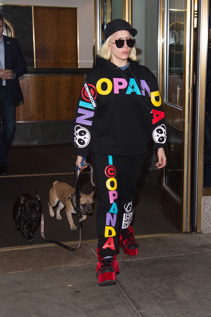 Lady Gaga, Asia, Koji a Gustavo

Lady Gaga má doma tři čtyřnohé kamarády. Jsou jimi francouzští buldočci. V roce 2014 jí tehdejší snoubenec Taylor Kinney daroval fenku jménem Asia, po roce si pořídili pejska Kojiho a před rokem se jim smečka rozrostla o pejska Gustava.
