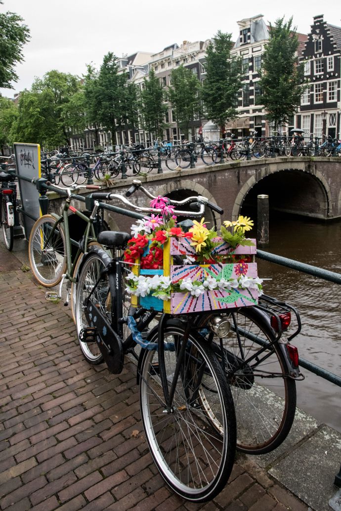 Půjčte si kolo

Dalším symbolem Amsterdamu jsou cyklisti a jízdní kola. Jsou všude. Dokonce město muselo, se stoupající popularitou kol, zřídit i několik "parkovišť" pro kola, protože je místní už neměli kde parkovat. Jízda na kole je skvělý způsob, jak město prozkoumat. Pronajmout si ho můžete na každém rohu a je to velice jednoduché. Buďte ale opatrní, nehodovost turistů na kole je zde poměrně vysoká.
