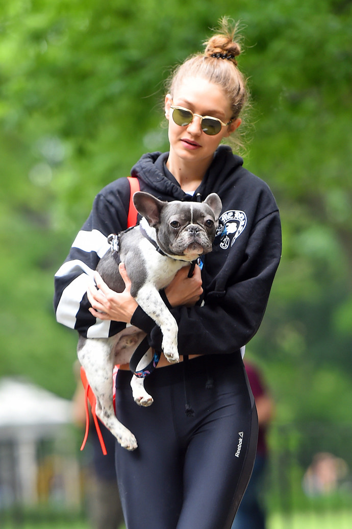 Gigi Hadid venčila francouzského buldočka svému příteli Zayenu Malikovi. Který pejsek by nechtěl mít tak stylovou paničku, které to sluší i při venčení?
