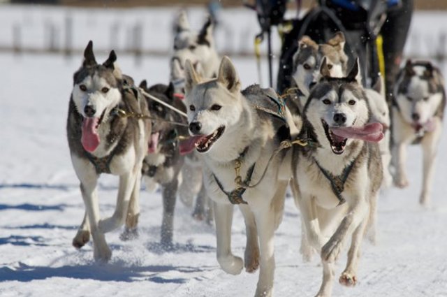 istock000008100547small