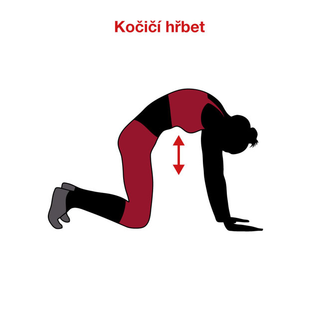 M_cvik3_kocici_hrbet
