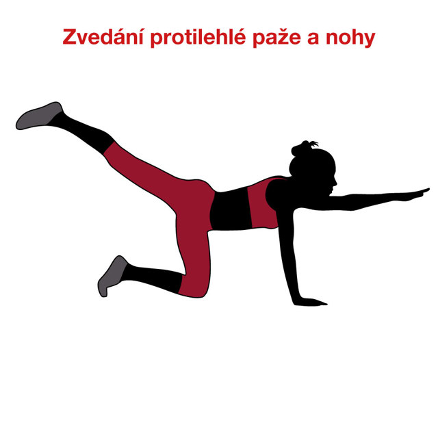 M_cvik4_zvedani_paze_a_nohy