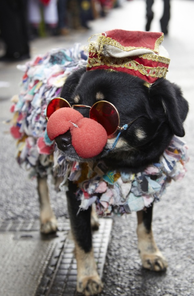 Male_foto_karneval