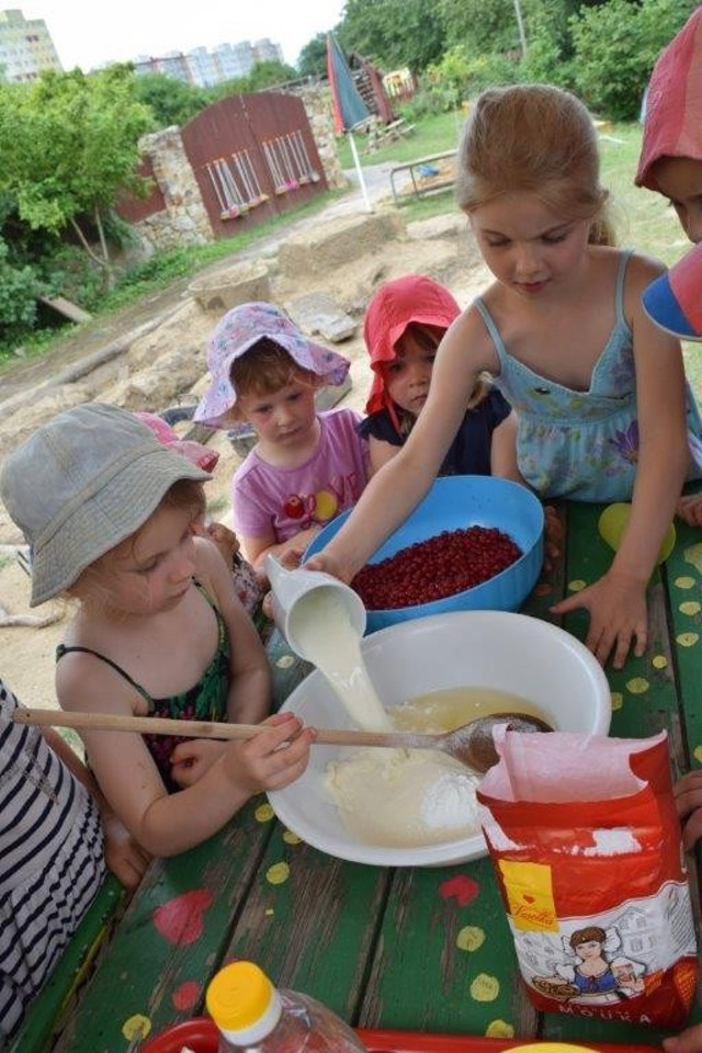 MSSEMINKOrybizovy_kolac2